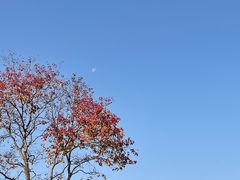 -大润发(梅兰东路店)