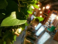-玖壹咖啡(临河街店)