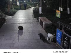 -龙头寺公园
