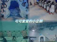 -正佳极地海洋世界