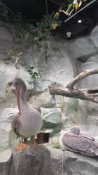 -Zoolung Zoolung动物主题公园(海信广场店)