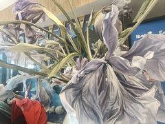 -IBOBI早教·托班·国际家庭互动成长中心(欢乐海岸中心)