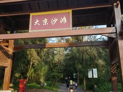 -大京沙滩
