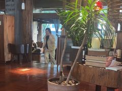 -陶享时光西餐·下午茶·竹林花园(新城店)
