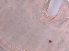 -Jazcu珍仕菓鲜榨果汁(西单大悦城店)