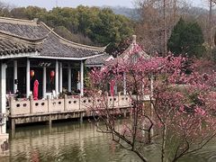 -无锡梅园公园