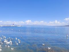 -青海湖国家重点风景名胜区
