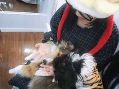 -汪说·狗咖·拼豆·宠物周边DIY(旺城大厦店)