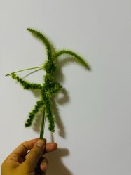 点击看大图 -归位瑜伽&普拉提馆