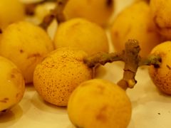 -塘栖枇杷特色园区