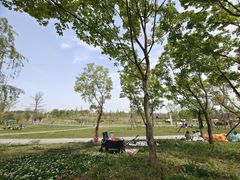 -白鹭湾湿地公园