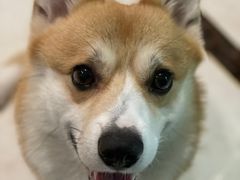 -派特宠物医院(圆融广场店)