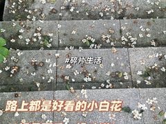 -火炉山森林公园