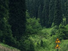 -新疆那拉提国家旅游度假区