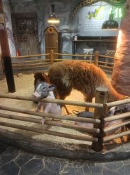 -Zoolung Zoolung动物主题公园(海信广场店)