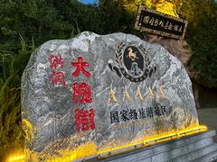 -大槐树寻根祭祖园