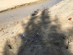 -一舍大湾酒店