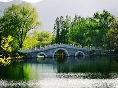 -国家植物园