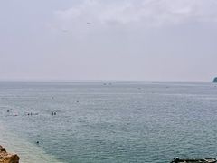 -傅家庄公园