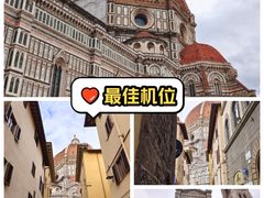 -圣母百花大教堂穹顶