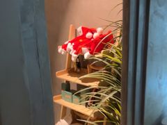 -施奈儿.洗头頭療.按摩SPA.采耳(上梅林店)