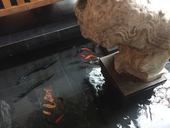 -旅马餐厅(茅家埠店)