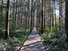 -同里国家湿地公园