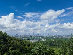 -火炉山森林公园