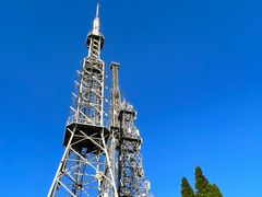 -武陵山森林公园