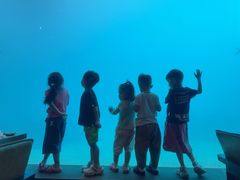 -海棠湾洲际-涛·海底餐厅·美人鱼·自助餐·海底隧道