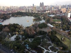 -上海新发展亚太JW万豪酒店