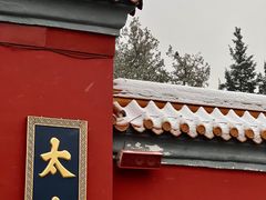 -故宫博物院(故宫)