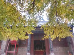 -浮来山风景区