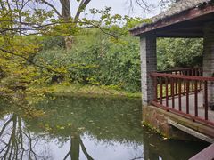 -八大山人梅湖景区