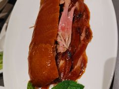 -宏宴·新京菜(望京店)