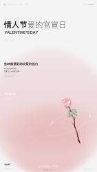 -鱼映像摄影·珍藏级影像品牌