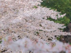 -青岛海滨风景区-鲁迅公园