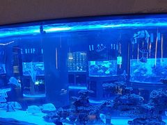 -上和臻品中国菜(花园街店)