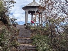 -北仑森林植物园