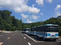 -五营红松林海景区