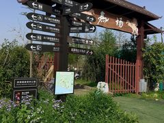 -合肥滨湖国家森林公园