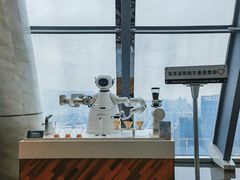 -星璞全日餐厅·高空自助餐(深铁铂尔曼酒店)