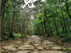 -冶父山国家森林公园