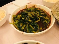 南乳汁空心菜-玲珑餐厅(陕西南路店)