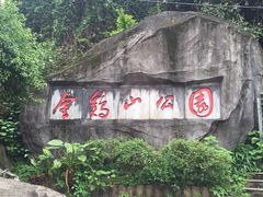-金鸡山公园