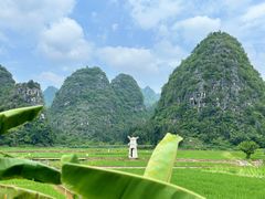 -万峰林风景区