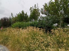 -东疆建设开发纪念公园