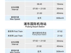 -龙阳路磁悬浮列车总站-停车场