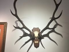 -中国紫檀博物馆