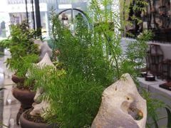 -东吴面馆(十全街店)